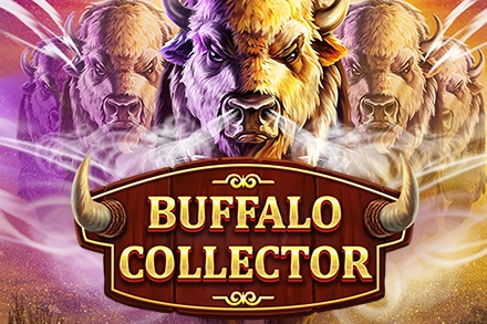 19319 buffalo collector